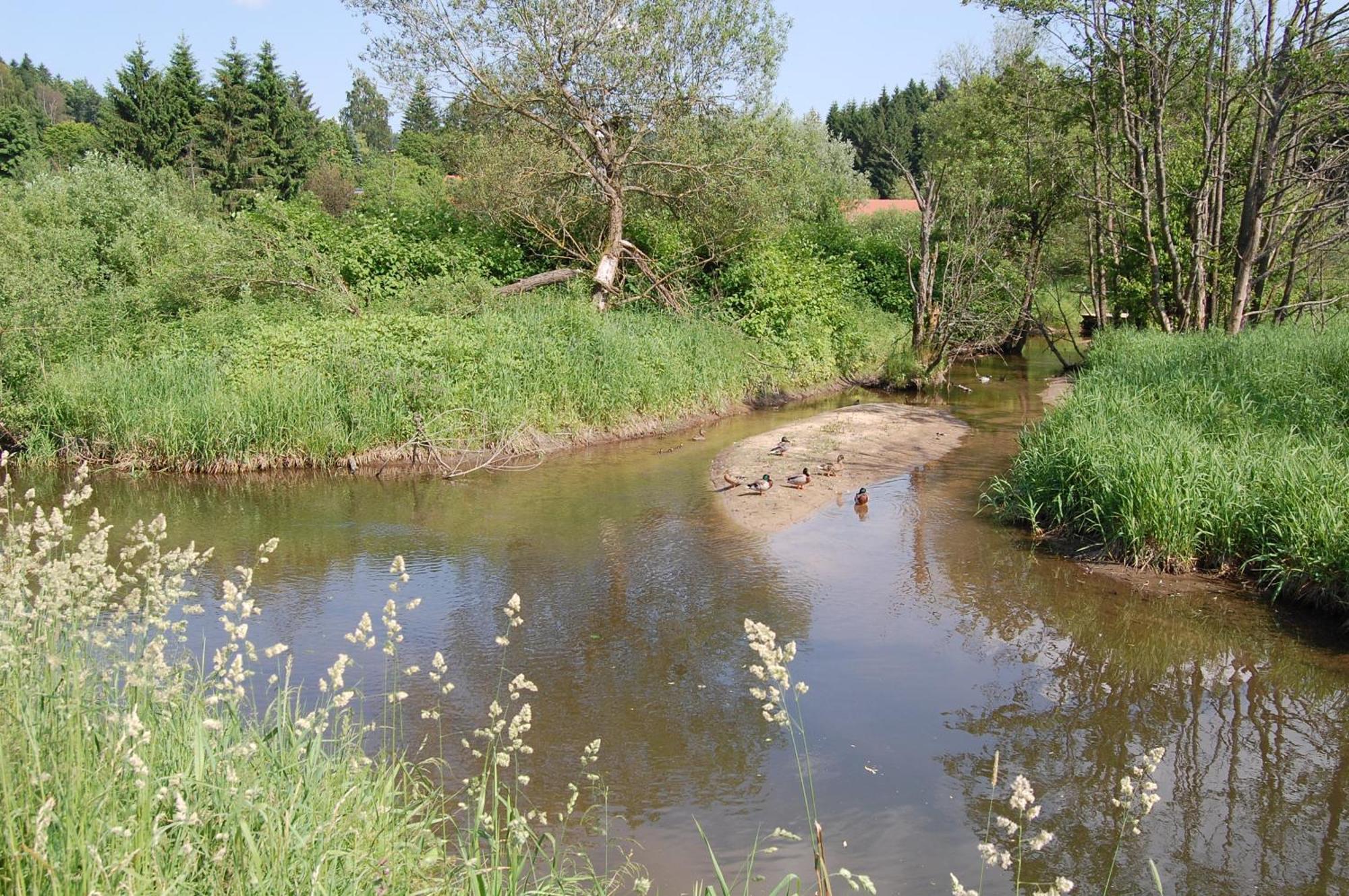 Ferienhaus Mit Seeblick Waldkirchen Exterior photo